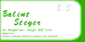 balint steyer business card